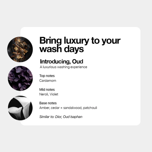 Tallow + Ash Oud Laundry Conditioner 800ml