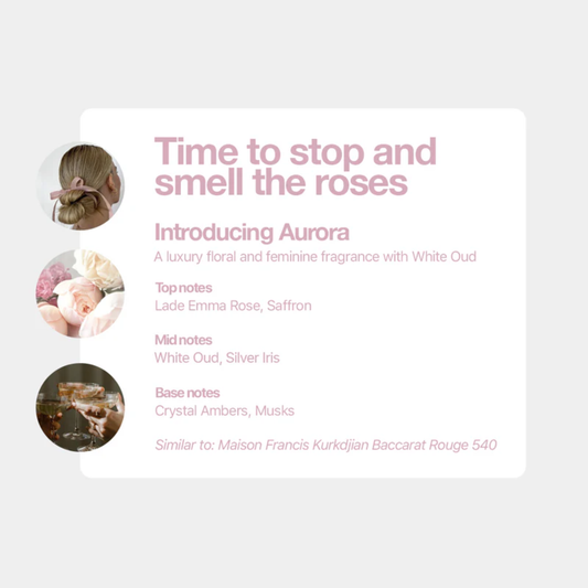 Tallow + Ash Aurora Laundry Shampoo 800ml