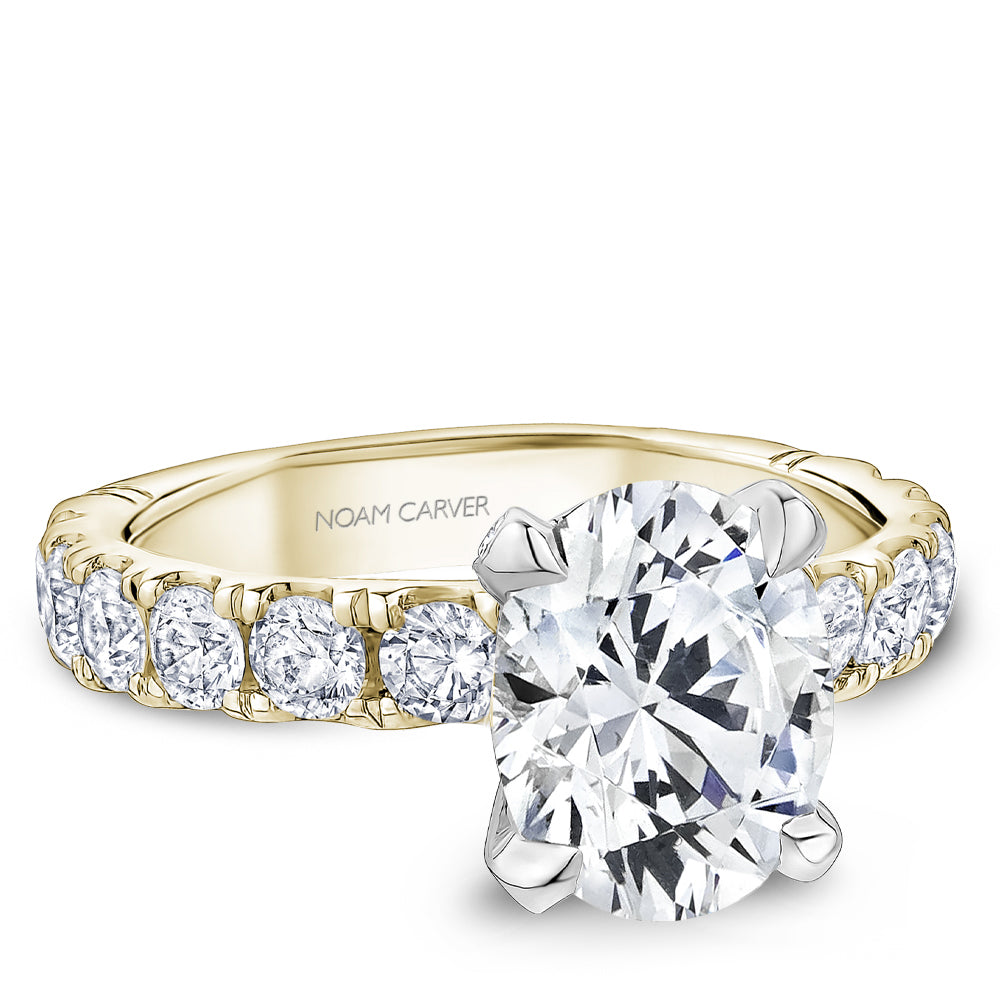 Large Diamond Engagement Ring Noam Carver