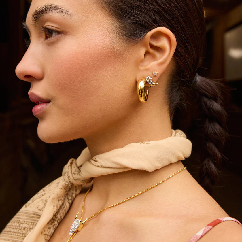H&B Chunky Statement Hoop Earrings