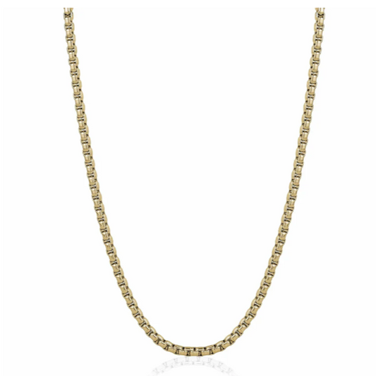ITALGEM - Gold IP S. Steel 3.5mm Round Box Chain 22" Italgem