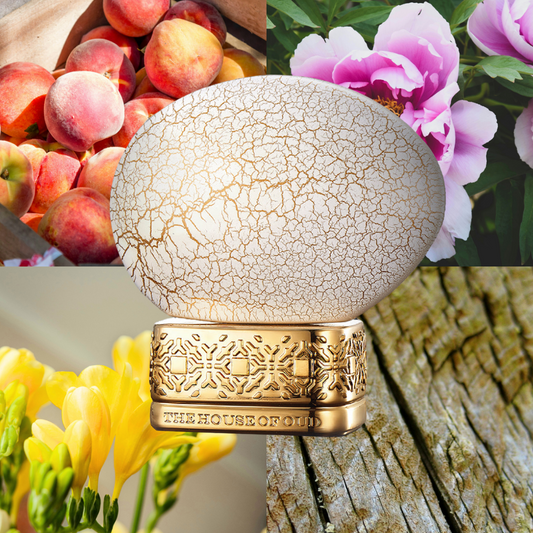 Breath of the Infinite EDP 75ml