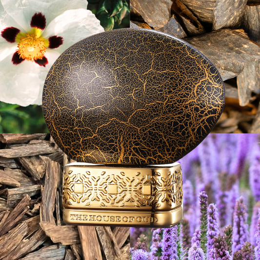 Blessing Silence EDP 75ml THoO