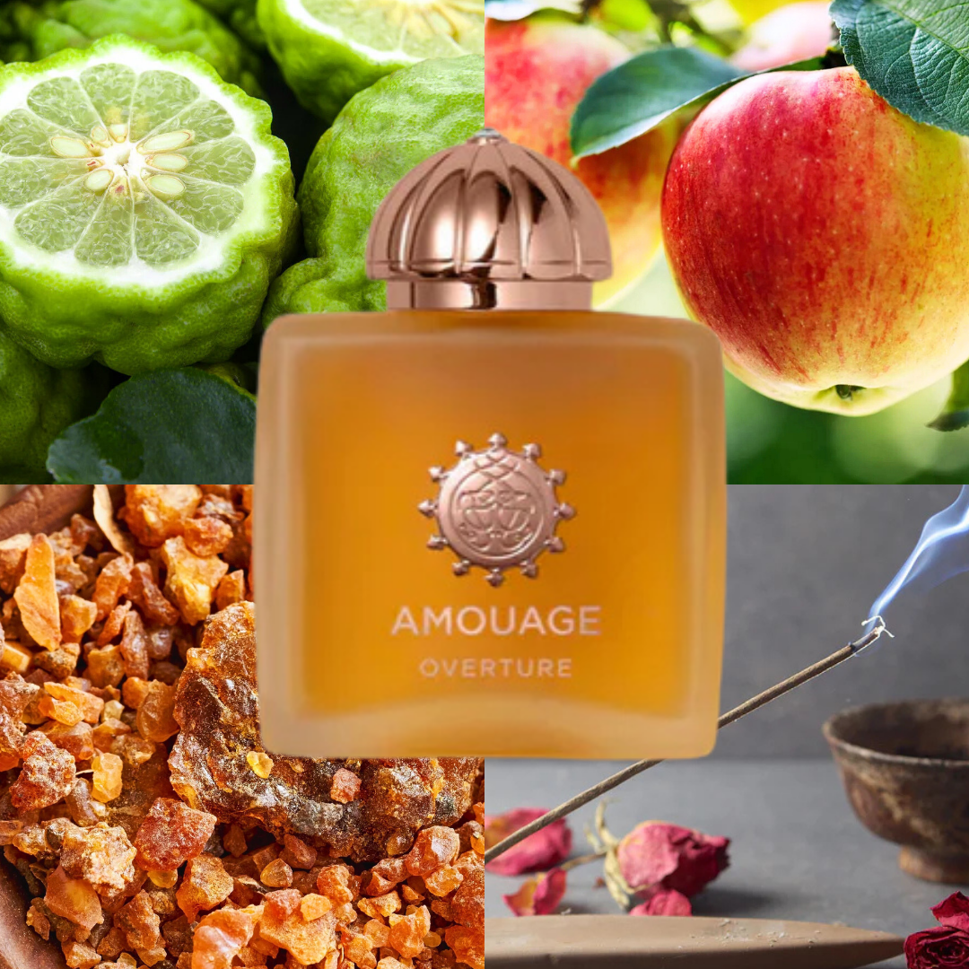 Overture Woman EDP 100ml Amouage