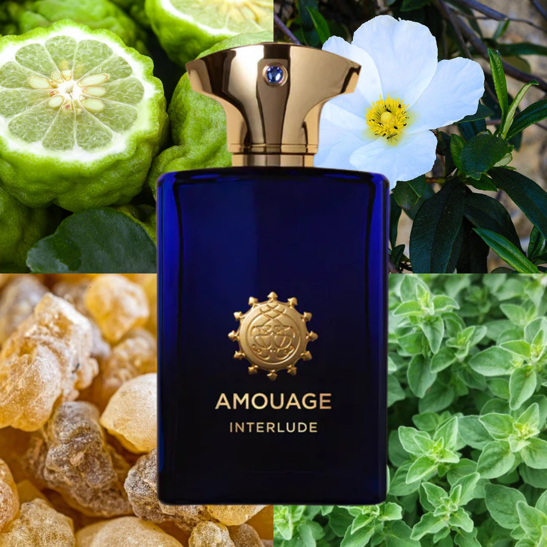 Interlude Man EDP 100ml Amouage