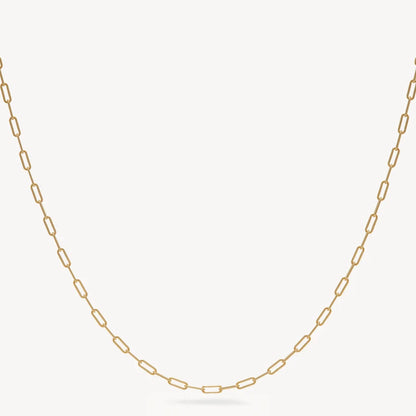 H&B Essential Clip Chain Necklace