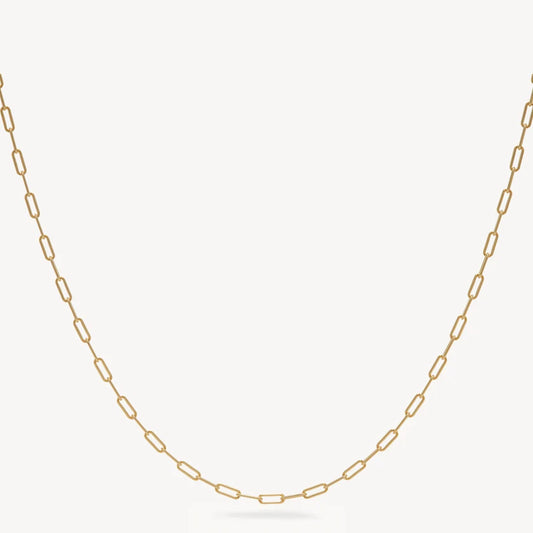 H&B Essential Clip Chain Necklace
