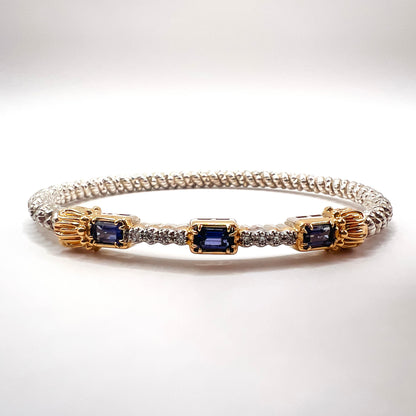 Vahan 14K Gold & Sterling Silver Bracelet with Iolite
