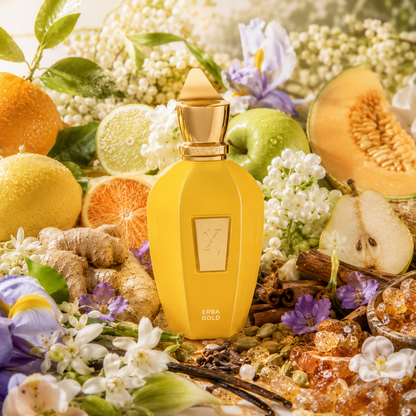 Xerjoff "V" ERBA GOLD EDP