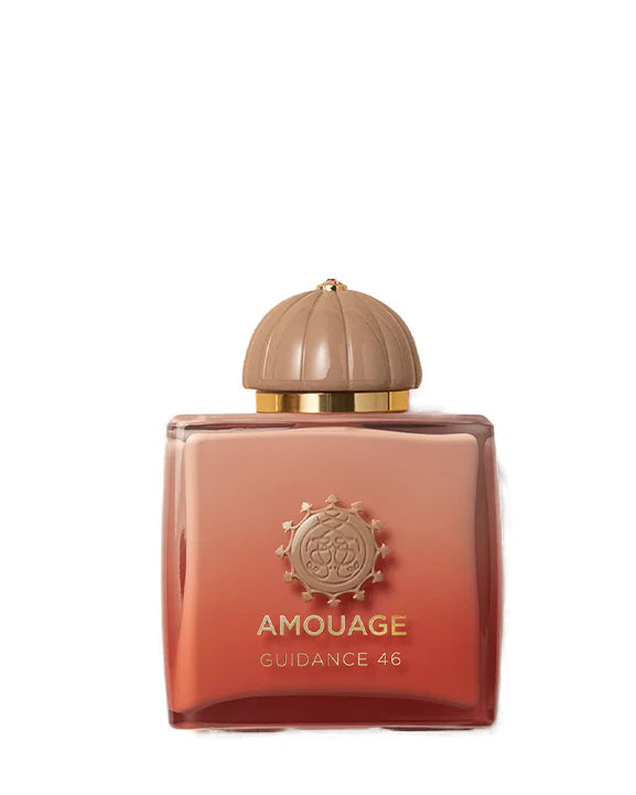 Guidance 46 EDP