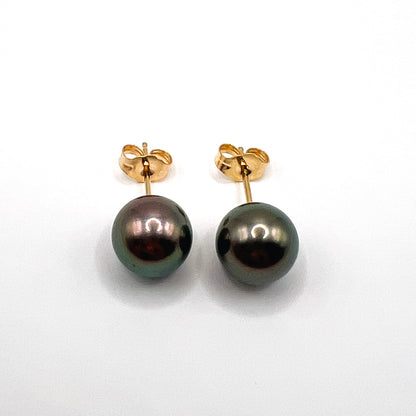 Tahitian Pearl Earrings in 14K Gold