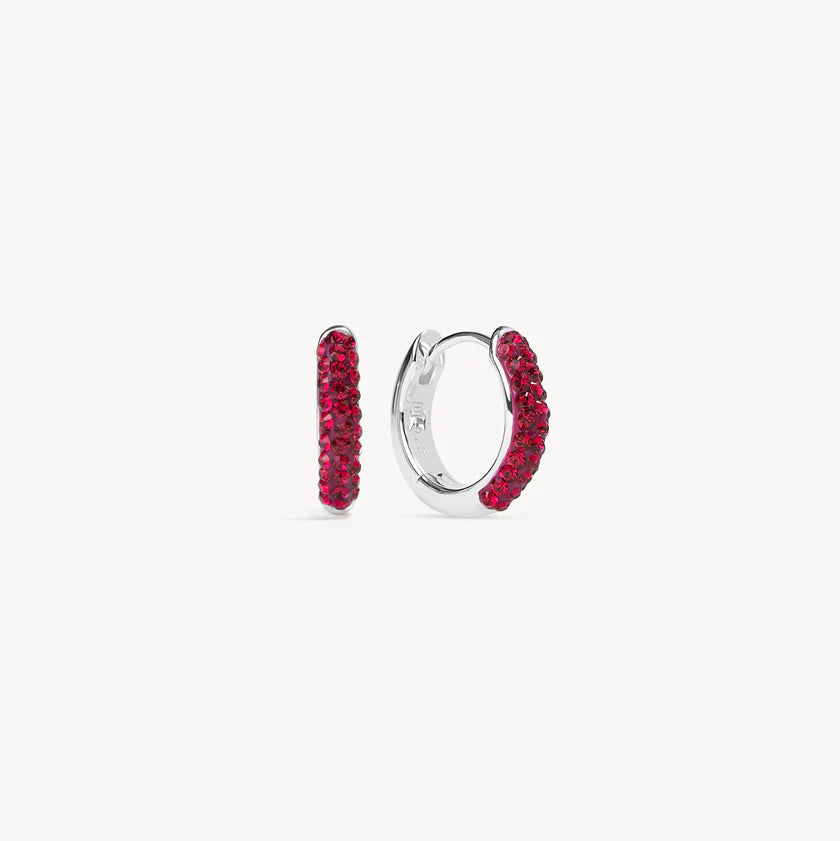 H&B Birthstone Always On Sparkle Hoops