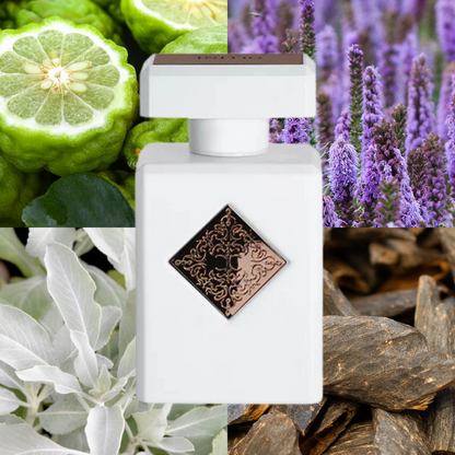 Paragon Extrait De Parfum 90ml